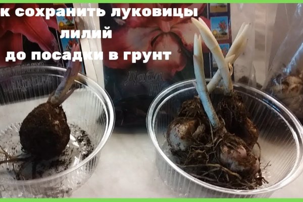 Где купить наркотиков