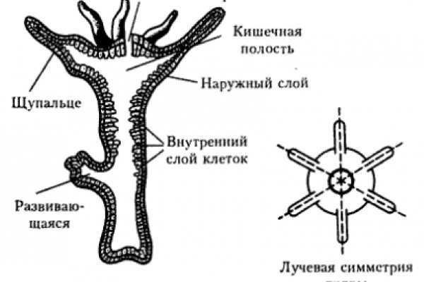 Kra44cc